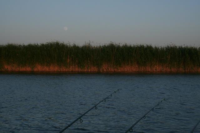 Doar ... NATURA  - 2 - gedc0324.JPG